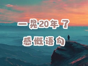 CHINAIN20YEARS：二十年品质，铸就辉煌