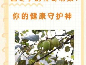 公司领导每天早上都要用到的神奇产品