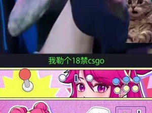 17岁俄罗斯csgo—17 岁俄罗斯 csgo 天才少年的成长之路