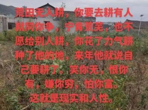 耕了母亲荒土地的背后，是对母亲深深的爱与敬意