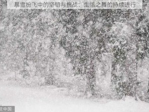 暴雪纷飞中的坚韧与挑战：生活之舞的持续进行