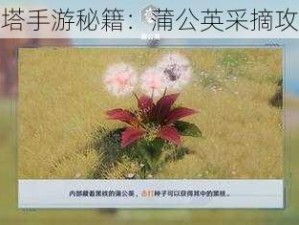 探索幻塔手游秘籍：蒲公英采摘攻略详解