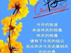 早安，少年性格蜕变：阳光成长中的心态转变之路