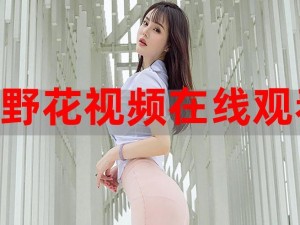 野花视频在线全集，无广告骚扰，畅享高清画质