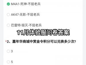 CF手游体验服申请表问卷答案一览：全面解析申请流程与体验心得