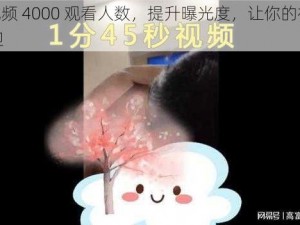 b 站视频 4000 观看人数，提升曝光度，让你的视频更受欢迎