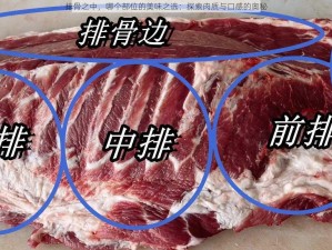 排骨之中，哪个部位的美味之选：探索肉质与口感的奥秘