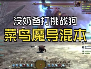 龙之谷手游魔导师竞技狗攻略：策略与技巧助你轻松通关