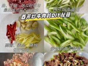 攻略失败后我被爆炒了——完美烹饪秘籍，让你秒变大厨