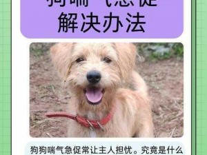 狗狗卡得好疼(狗狗卡得好疼，呼吸困难怎么办？)