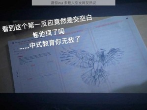 震惊wa 未载入引发网友热议