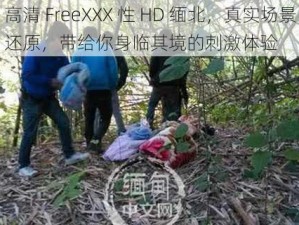 高清 FreeXXX 性 HD 缅北，真实场景还原，带给你身临其境的刺激体验