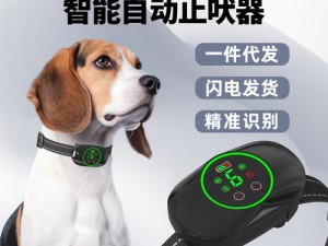 抖 S 狗狗要乖乖听主人的话，专业训练狗狗用品