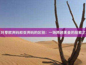 三叶草 m 欧洲码和天堂：一场神秘的网络之旅