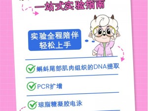 DNagoonimation官网,如何访问 DNagoonimation 官网