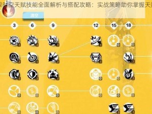 火炬之光无限时空天赋技能全面解析与搭配攻略：实战策略助你掌握天赋技能联动优势