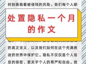 隐私安全好助手——对方处置隐私一个月 1000 字