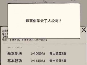 暴走英雄坛二当家打法攻略详解：战斗策略与技巧分享