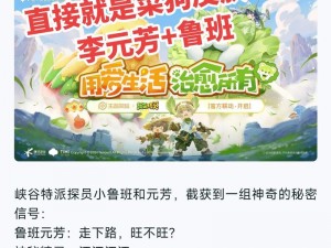 王者荣耀鲁班菜狗皮肤价格揭秘：最新价格信息与购买指南