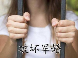 我们不合适 1v1 军婚：优质对象，定制专属爱情