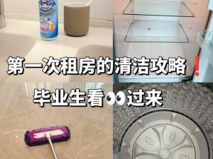 欲乱家政妇：多功能清洁助手，让你的家焕然一新