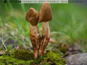 ▓成人蘑菇视频▓无码免费3D【成人蘑菇视频无码免费 3D，精彩刺激让你欲罢不能】