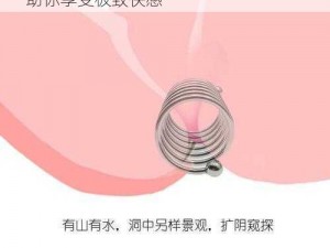 精品调教 ChineseGay 男性情趣玩具，助你享受极致快感