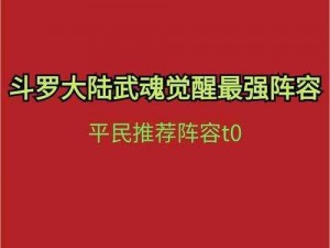 斗罗大陆武魂觉醒前期强势阵容解析：英雄组合与策略布局探讨