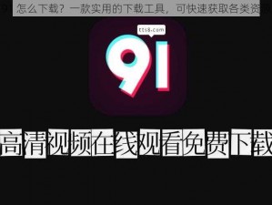 91 怎么下载？一款实用的下载工具，可快速获取各类资源