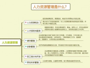 玖人玖产人力在线观看：一款专注于人力资源领域的在线视频平台