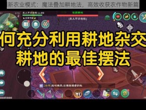 创新农业模式：魔法叠加耕地法，高效收获农作物新篇章