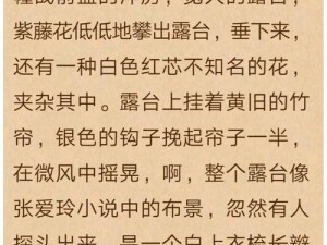 夜间网站 2021——夜间阅读的最佳伴侣，提供丰富的小说、故事资源