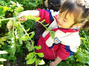 旅行者和丽莎拔萝卜：体验田园生活的趣味与健康