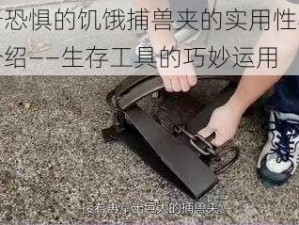 关于恐惧的饥饿捕兽夹的实用性与作用介绍——生存工具的巧妙运用