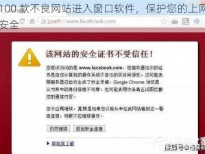 100 款不良网站进入窗口软件，保护您的上网安全