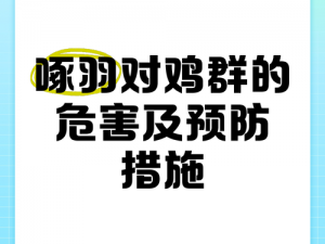 关于鸡啄鸡现象的治理策略：如何有效解决并预防鸡群互啄