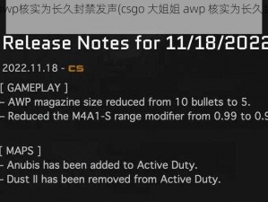 csgo大姐姐awp核实为长久封禁发声(csgo 大姐姐 awp 核实为长久封禁发声，她有何冤屈？)