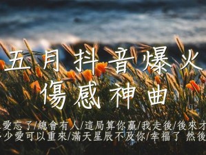 抖音热门歌曲揭秘：可能你不快乐背后的伤感旋律探究