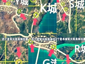 和平精英多利鸟玩法攻略大全：实战技巧、地图解析与装备选择指南