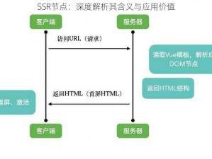 SSR节点：深度解析其含义与应用价值