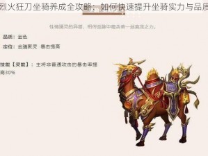 烈火狂刀坐骑养成全攻略：如何快速提升坐骑实力与品质