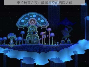 泰拉瑞亚之夜：静谧星空的启程之旅