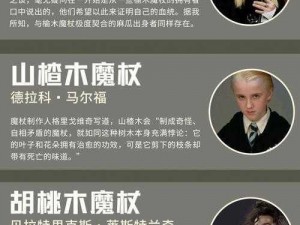 哈利波特手游之魔杖学院探究：如何观察分院过程与魔杖分院介绍