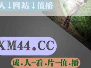 无人区免费一二三四乱码版，一个全新的视频播放器，畅享高清影视盛宴