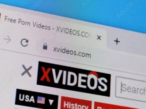 xvideos 中文版安装包，轻松观看海量视频资源