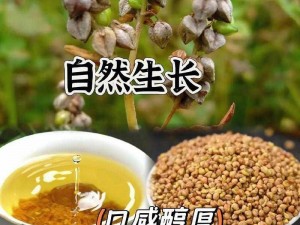 99 精品国产一二三产区，拥有优质原料和精湛工艺