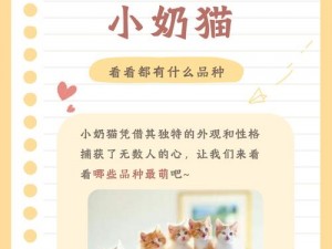 猫来了：探索猫咪世界的乐趣与魅力，猫趣无穷的欢乐时光简介