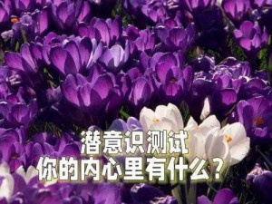 快来探索蜜芽 192.MON 永不失联，带给你无限惊喜的私密好物世界