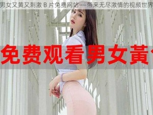 男女又黄又刺激 B 片免费网站——带来无尽激情的视频世界