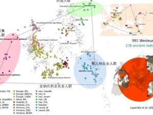 DNA 检测揭示欧洲人与亚洲人基因差异